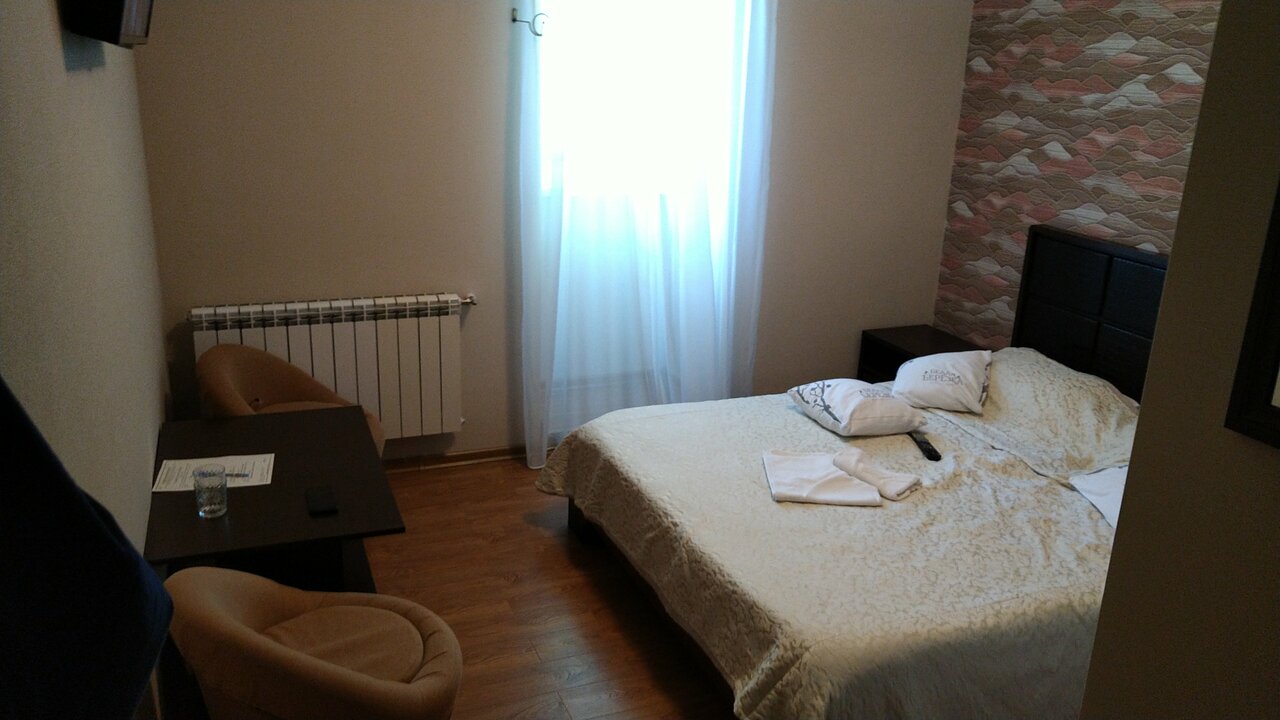 Гостиница Бристоль Брянск-140