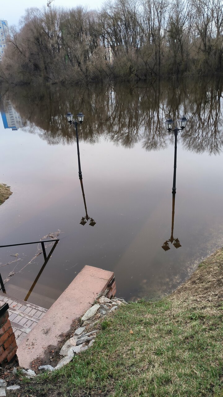 Гостиница Бристоль Брянск-136