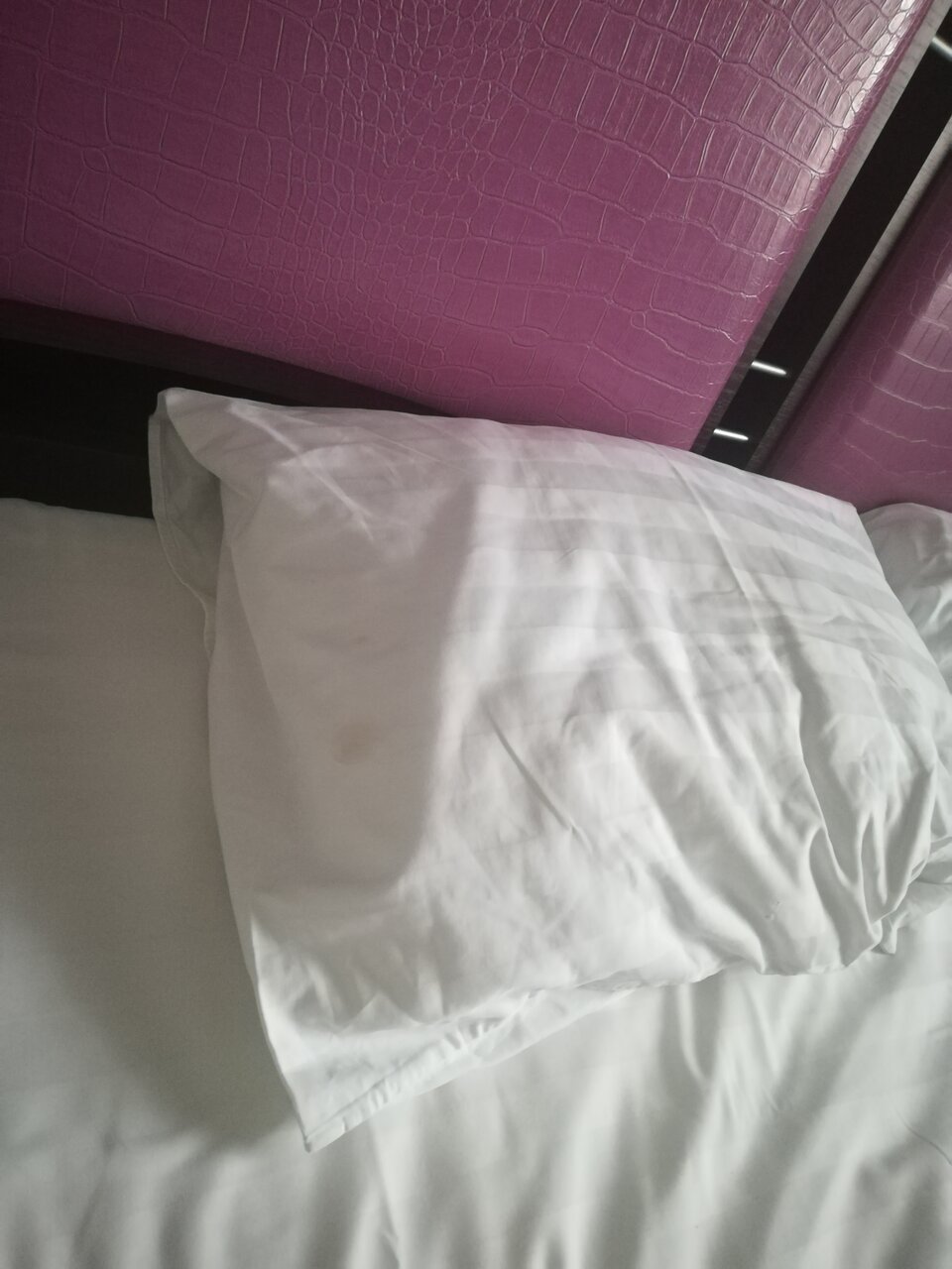 Гостиница Бристоль Брянск-244