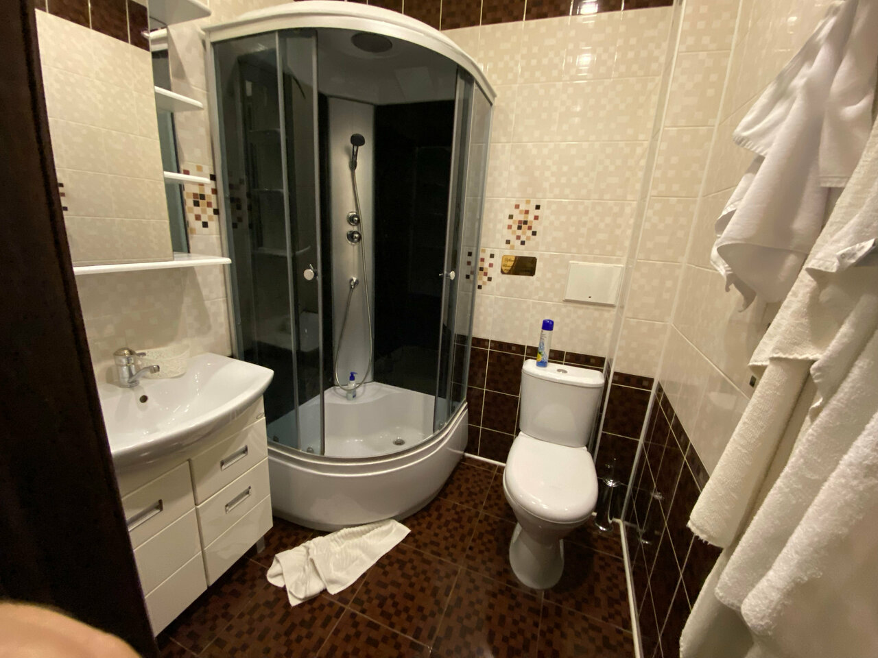 Гостиница Бристоль Брянск-92