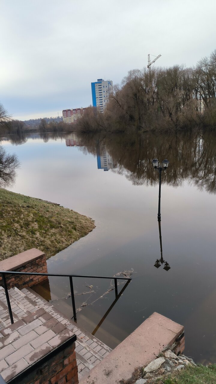 Гостиница Бристоль Брянск-81