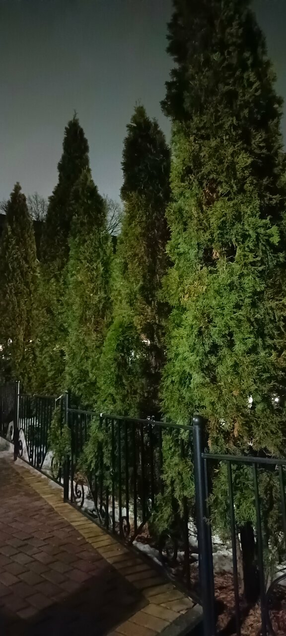 Гостиница Бристоль Брянск-182