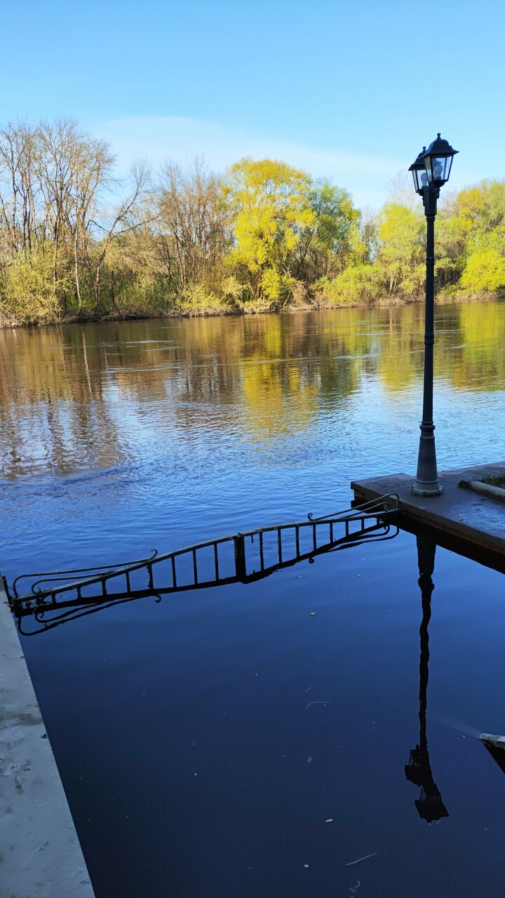 Гостиница Бристоль Брянск-35