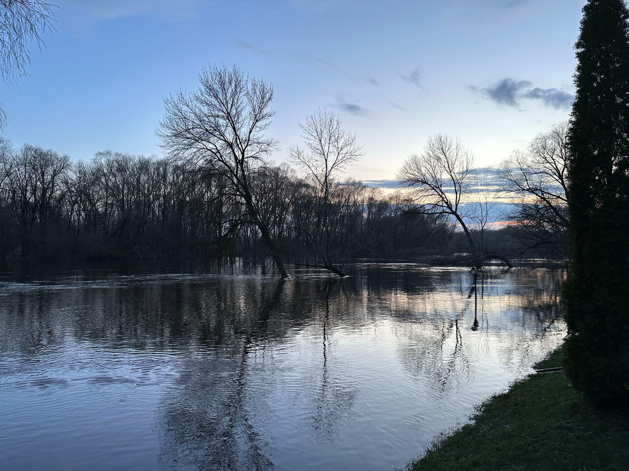 Гостиница Бристоль Брянск-126