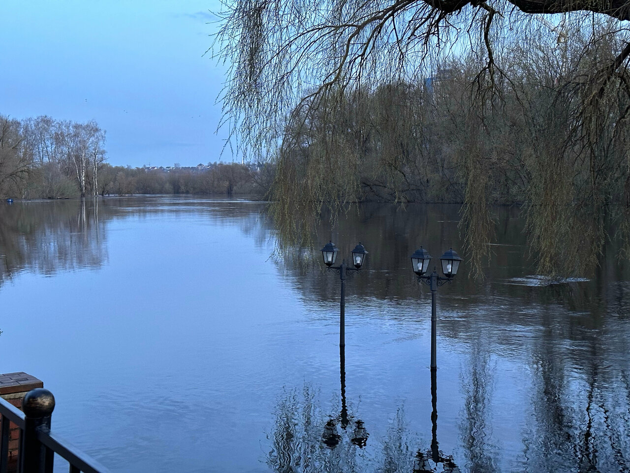 Гостиница Бристоль Брянск-60