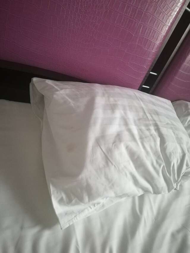 Гостиница Бристоль Брянск-243