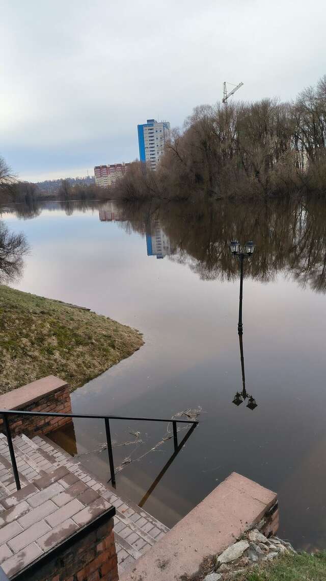 Гостиница Бристоль Брянск-80