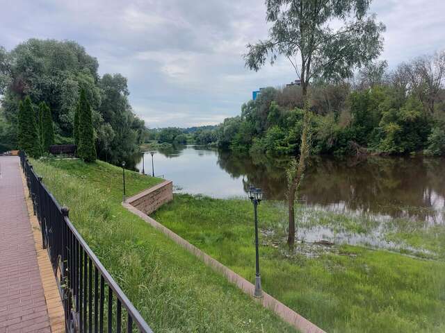 Гостиница Бристоль Брянск-54