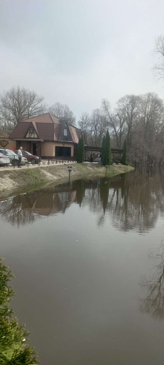 Гостиница Бристоль Брянск-87